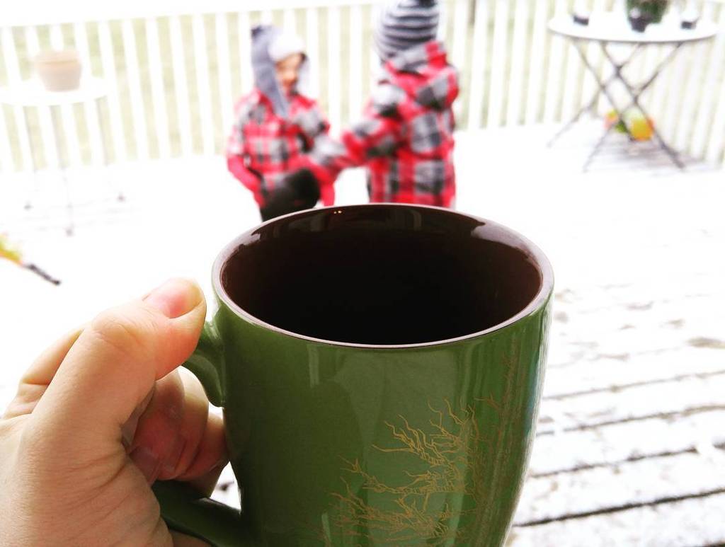 jillreed_'s tweet photo. Yeah, okay. You play in the snow. I'll just be right here sippin' my hot apple cider in the toasty house... #Throwi… https://t.co/0nIO0gvQst
