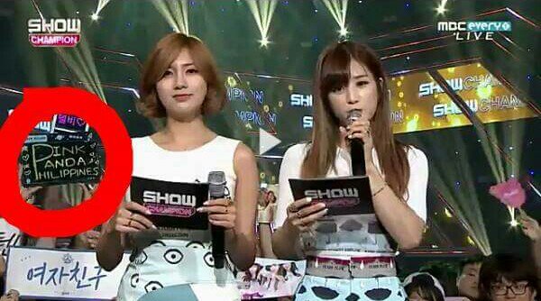 irisapanda's tweet photo. Proud Pink Panda Philippines here ๐๐ผ๐๐ @Apink_2011 #Apink #pinkpanda pinkpanda #pandaph #chorong #hayoung https://t.co/1LbZIpJFxu