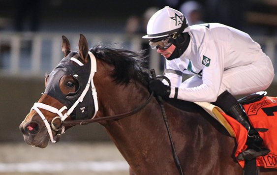 BH_AEberhardt's tweet photo. #Commissioner @Flothejock wins G2 #HawthorneGoldCup @ClubHawthorne @WinStarFarm #FourFooted Final crop A.P. Indy https://t.co/eJyPGrSyVm