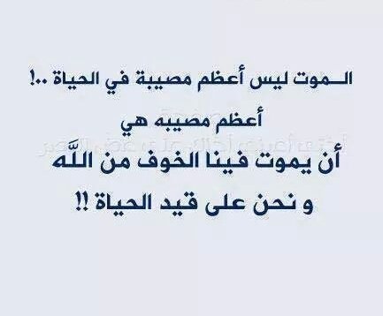 DodeAli17 tweet picture