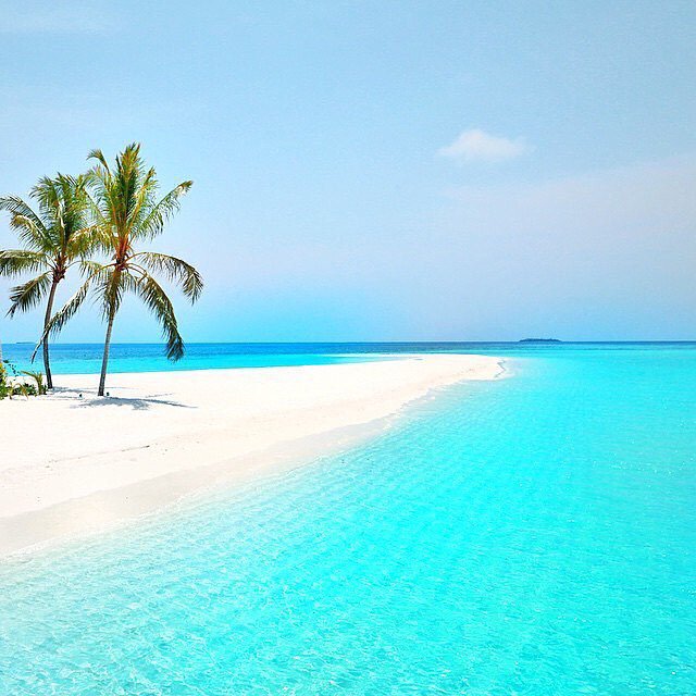 World's tweet photo. Pristine beaches of the Maldives. https://t.co/fUORMepg52