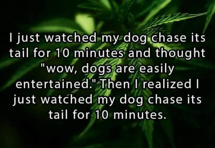 smh stoners😂