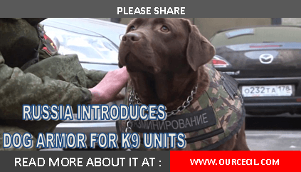 CecilsPride's tweet photo. Russia Introduces Dog Armor For Police Dogs #jesuischien #dogarmor https://t.co/oSjv7keb5c https://t.co/w5pkQOlHdm