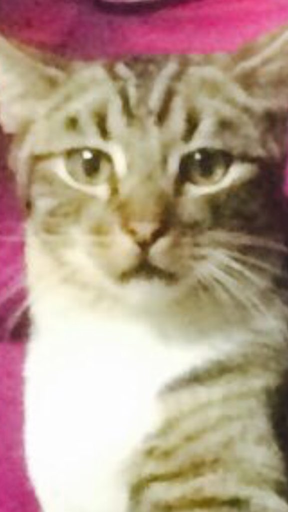 coolcatjupiter's tweet photo. Close up of pissed of Tuba #angry https://t.co/9l2cDa115A