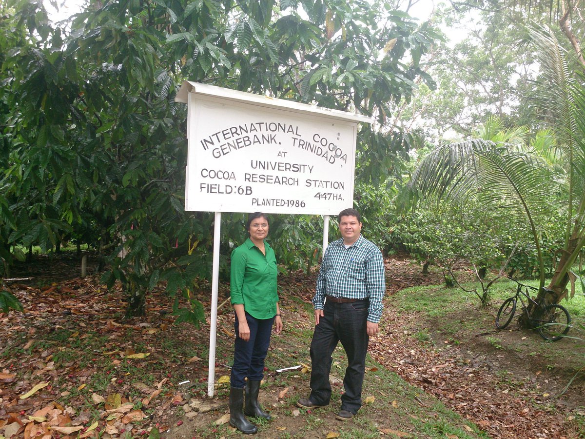 Visita de Naudys Gonzalez al Banco de Genetica del Cacao en Trinidad y Tobago