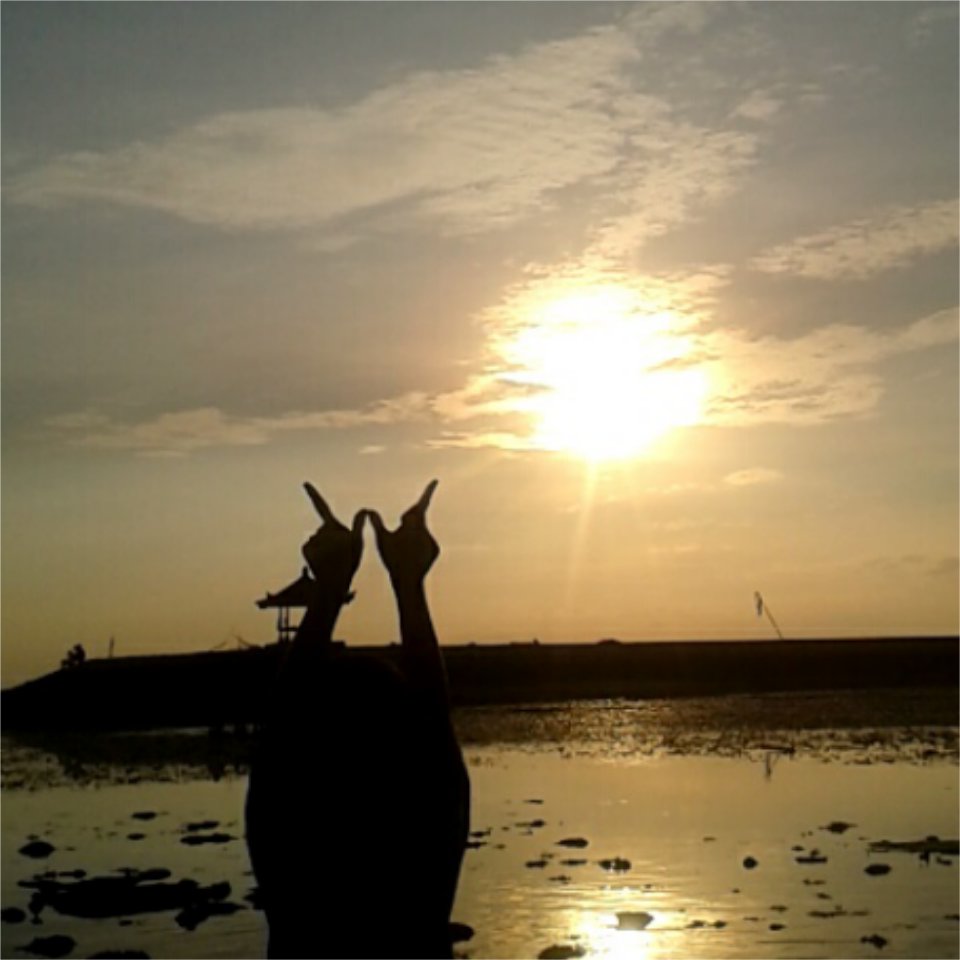 WILDEONES 👌
Always support <a href="/d3nada/">Denada Tambunan</a> <a href="/jessewildee/">Jesse Wilde</a> <a href="/wildonesfans/">JESSE AND DENADA</a> <a href="/wildeonesconfir/">Bandel</a> <a href="/WILDERSTEAM/">TEAM WILDEONES</a> 
Salam HOOH! Guys😍