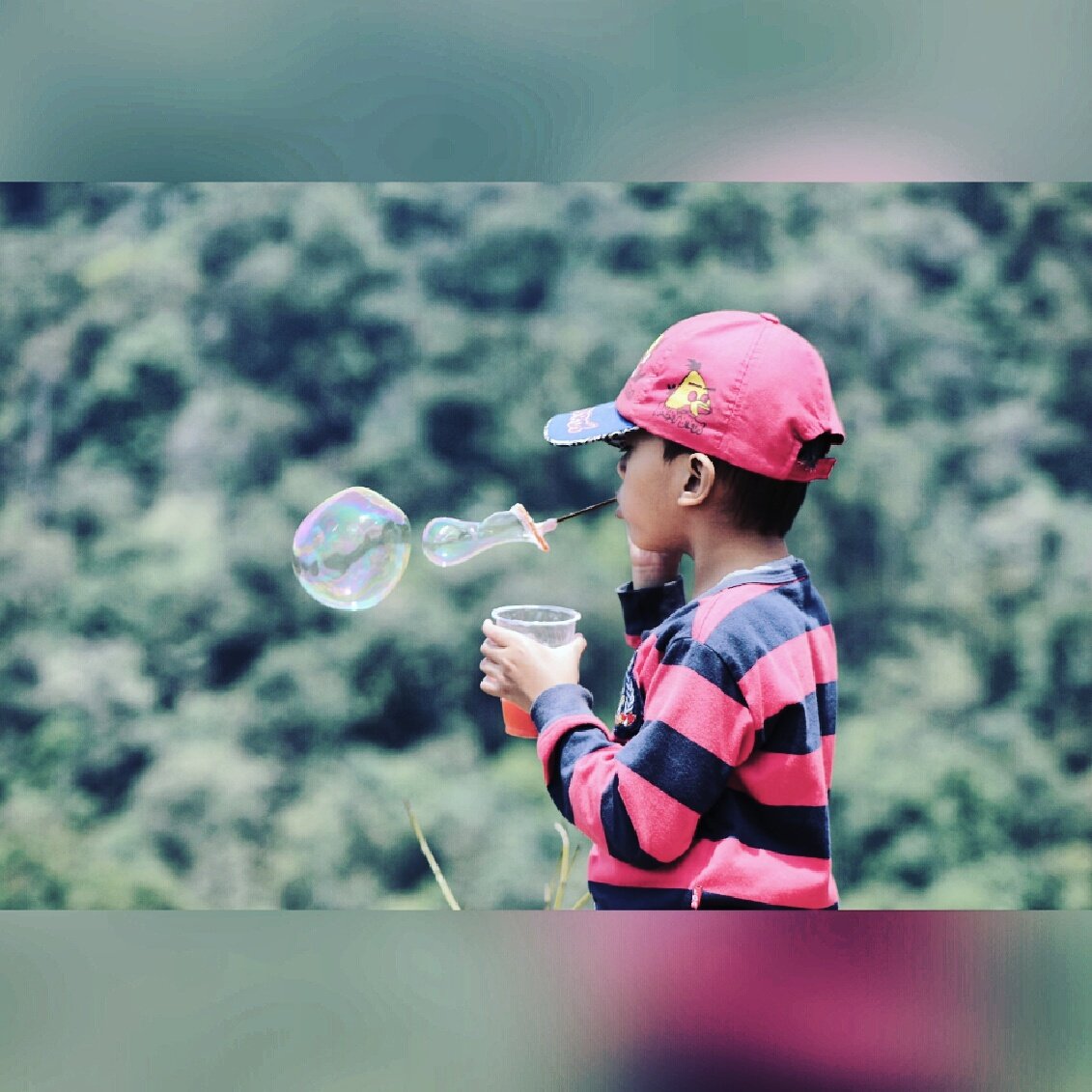 AdheMursal's tweet photo. #canon700d #puncak #puncakbogor https://t.co/upTbVDEO0R