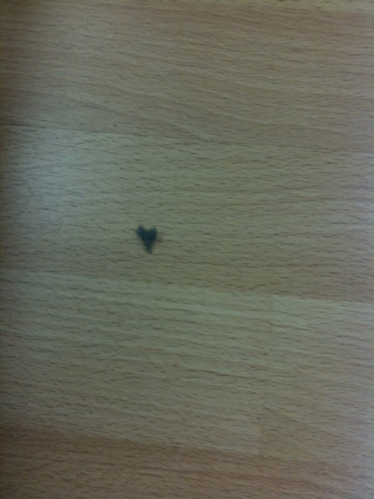 csweavz's tweet photo. RT for this piece of lint                            Fav for OSU https://t.co/NmSF8VR4LE
