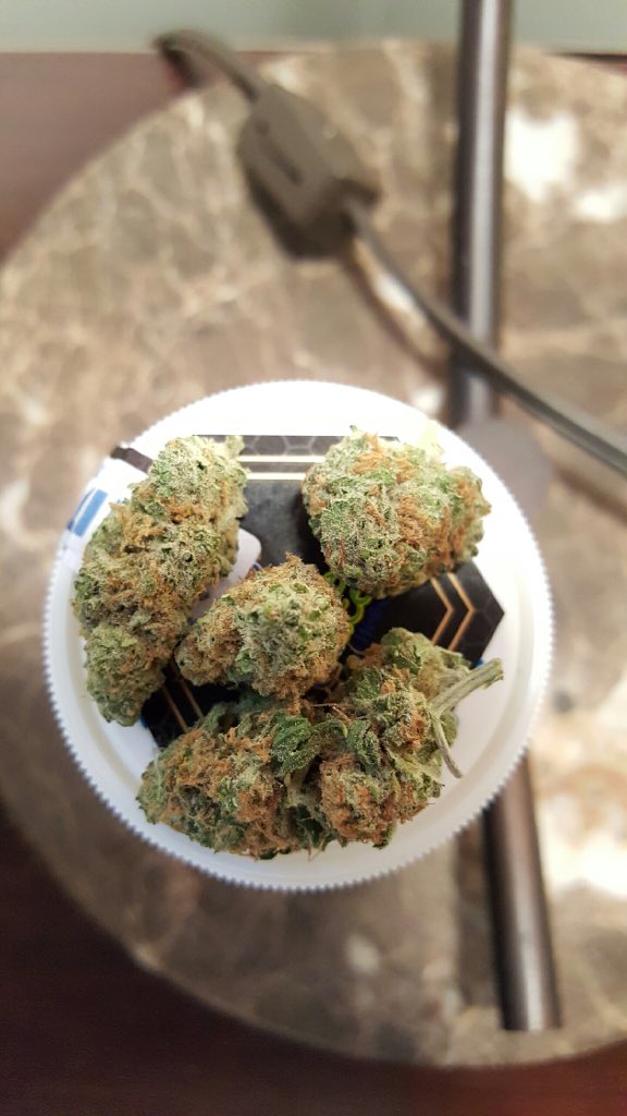 jass0324's tweet photo. @HIGH_TIMES_Mag https://t.co/yQRX66yxpu