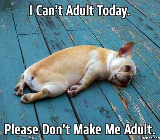 _HaleyNicoleee's tweet photo. Adulting https://t.co/QDbTMpa9Kp https://t.co/XujuDyEYs9