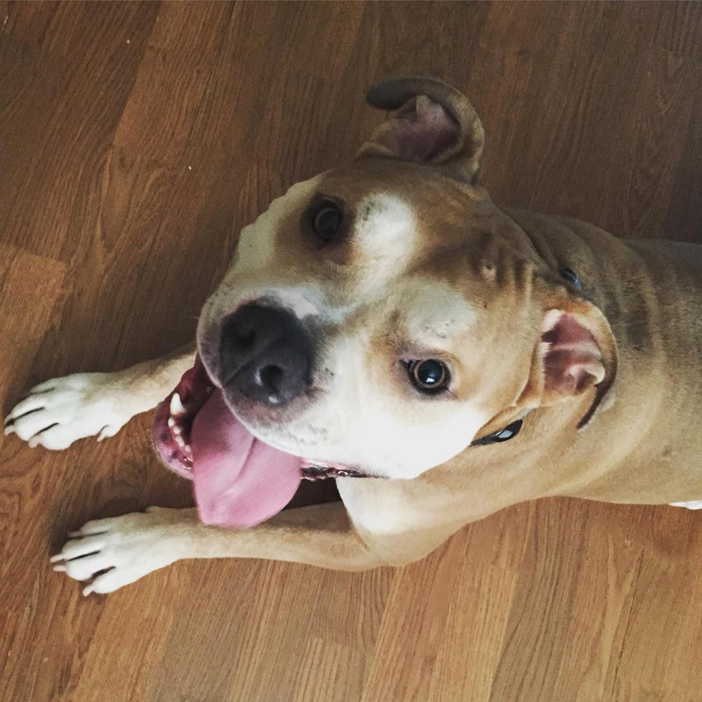 My Thor 
#ShowUsYourPits