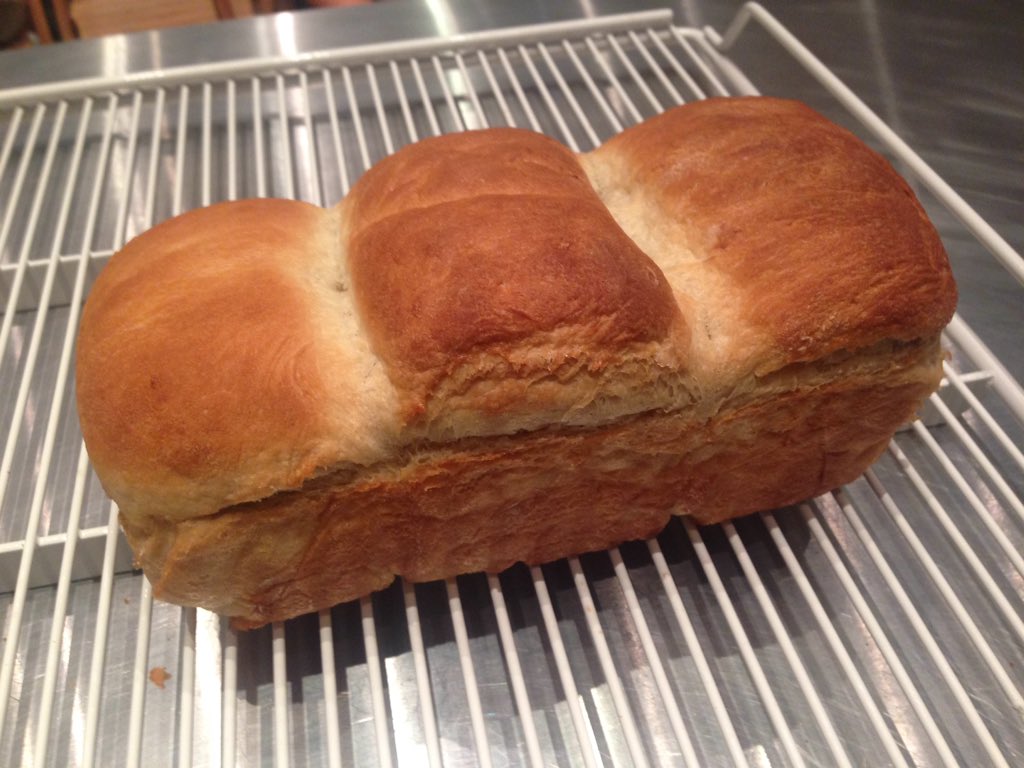 Verde Vegan (@verdevegan) on Twitter photo 