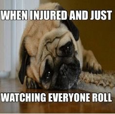 MoyaJitsu's tweet photo. #bjjmeme #bjjgirls #bjjlife #bjjgirlproblems #fightergirlproblems https://t.co/WlZ3fkDdxw