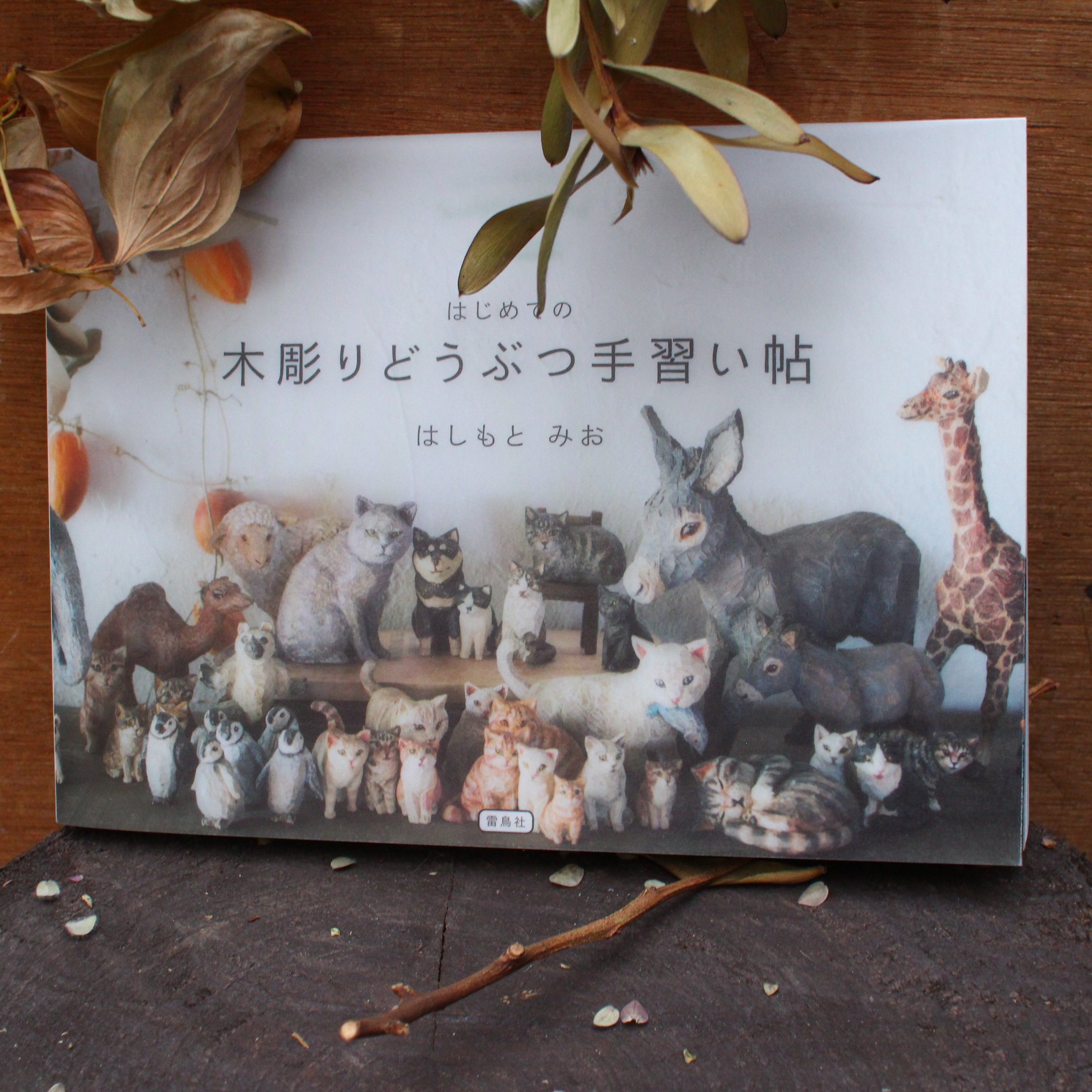 Uzivatel 手紙社 Na Twitteru 本とコーヒーtegamisha ねむるねこ や 子ペンギン など小さなどうぶつの作り方 が掲載された はじめての木彫りどうぶつ手習い帖 雷鳥社 は 彫刻家 はしもとみおさんの木へのこだわりやモデルへの愛情が感じられる一冊です