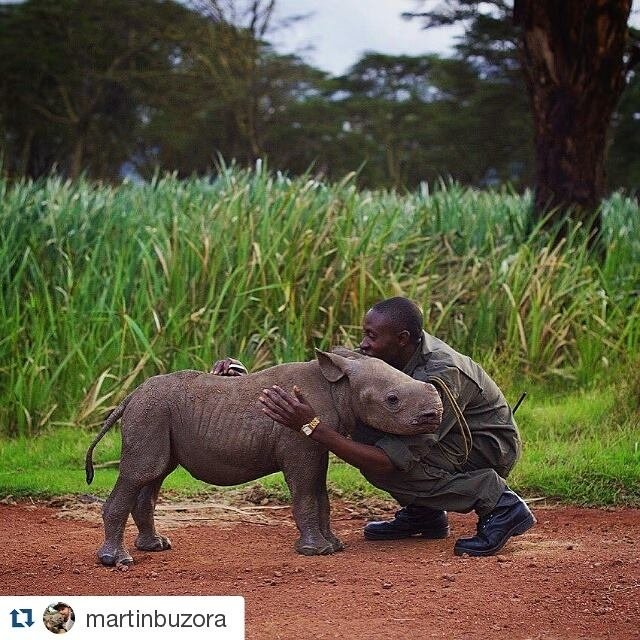 isabelle pirot (@ipirot) on Twitter photo 