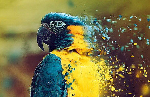 金行家 (@goldsignalapp) on Twitter photo 