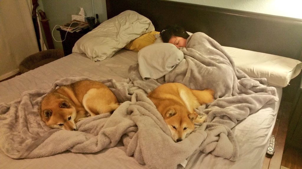 Drift0r's tweet image. @LtRoyalShrimp @Fwiz bruh...