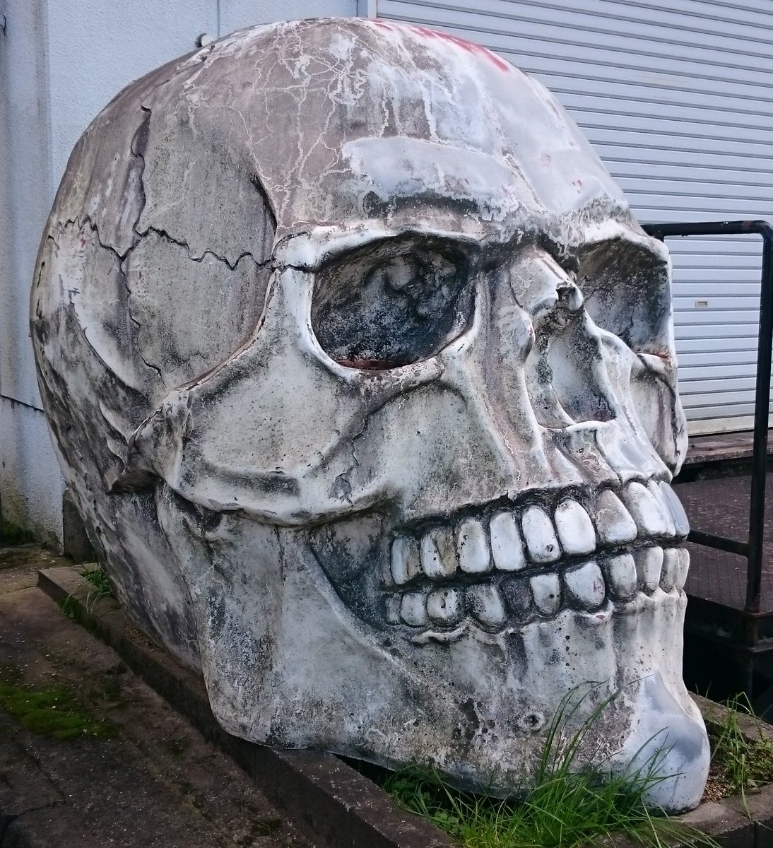 R309号線沿い『千早赤阪村』付近に、 一際目を引かれる 謎の巨大な