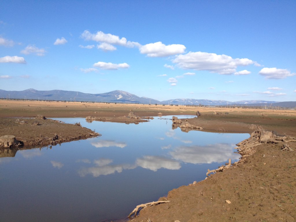 La sequía nos deja junto a <a href="/spainecolodge/">Ecolodge Cabañeros</a> imágenes de dramática belleza.
