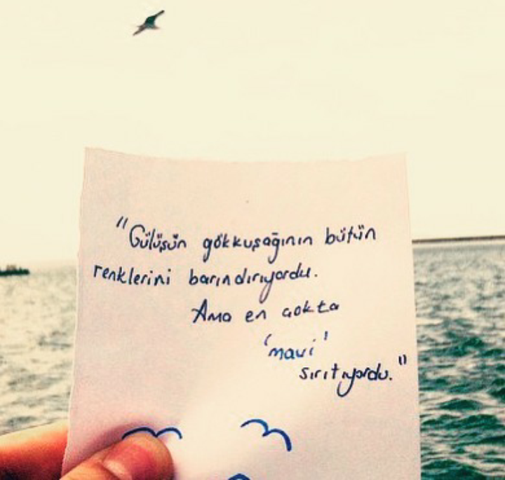 Mavi çok başka sevginin ta kendisi 💙