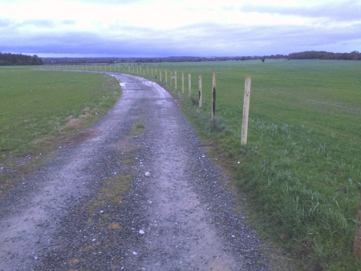 National Ploughing tweet media