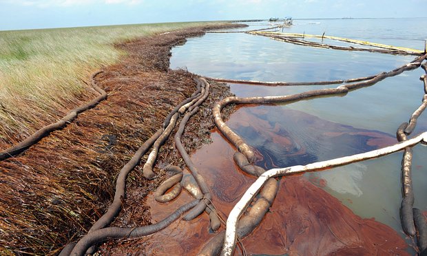 BP's plans to drill for oil in the Great Australian Bight knocked back
theguardian.com/environment/20…