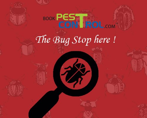 BookPestControl tweet picture