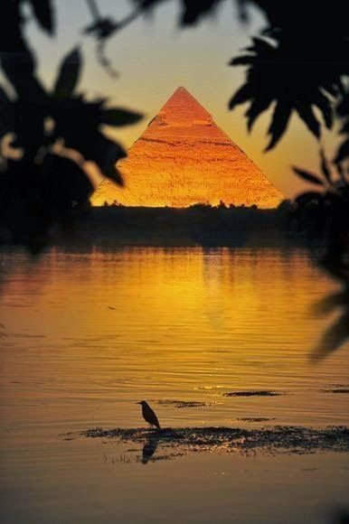 <a href="/HusseinElgohar3/">Hussein Elgohary</a> @nathaliea1010 <a href="/AlexineAud/">Alexine</a> <a href="/happycarobinz1/">Caroline Lehmann🐦📯</a> <a href="/HipHipVale/">Vale</a> <a href="/nieuwemarlean/">nieuwemarlean</a> <a href="/FerratoPaola/">Paola Ferrato</a> :-)))