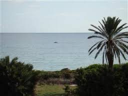 chabbehnejib's tweet photo. appartement a sousse21698528583 nejib https://t.co/JRh19XxBsb