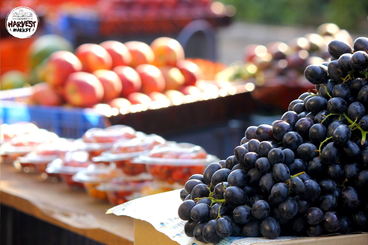 SHarvestMarket's tweet photo. The #freshestproduce in #Pune, all in one place! The #Sundayharvestmarket! See you there on #6december! #fruits https://t.co/uuhGPd1Y9n