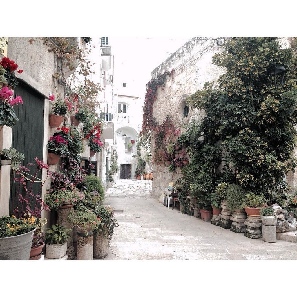 apuliasocial's tweet photo. •Hidden corners... 💚• #latergram #monopoli #apulia #apulianstyle #puglia #igerspuglia #ig_… https://t.co/kLuLKVo8di https://t.co/OaKLFQSWyt