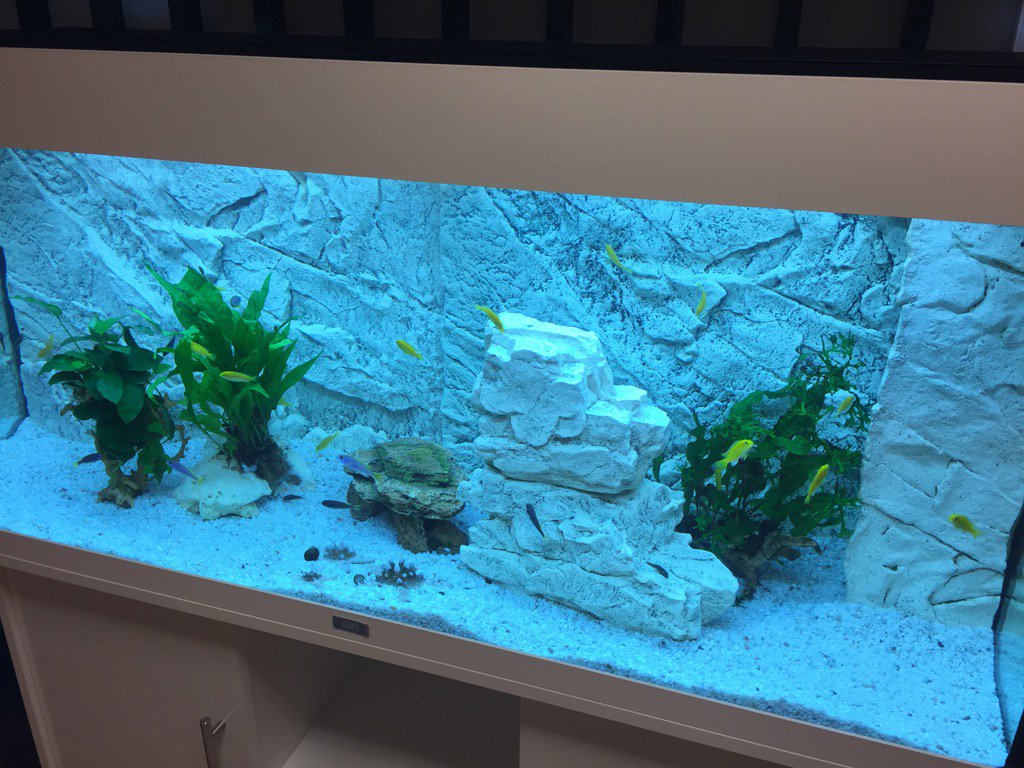 AlmaKangas's tweet image. Over twenty new Prohocians started on Monday to chear us all up #prohoc #yourbestresourses