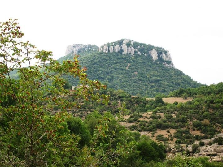 Terrabook tweet media