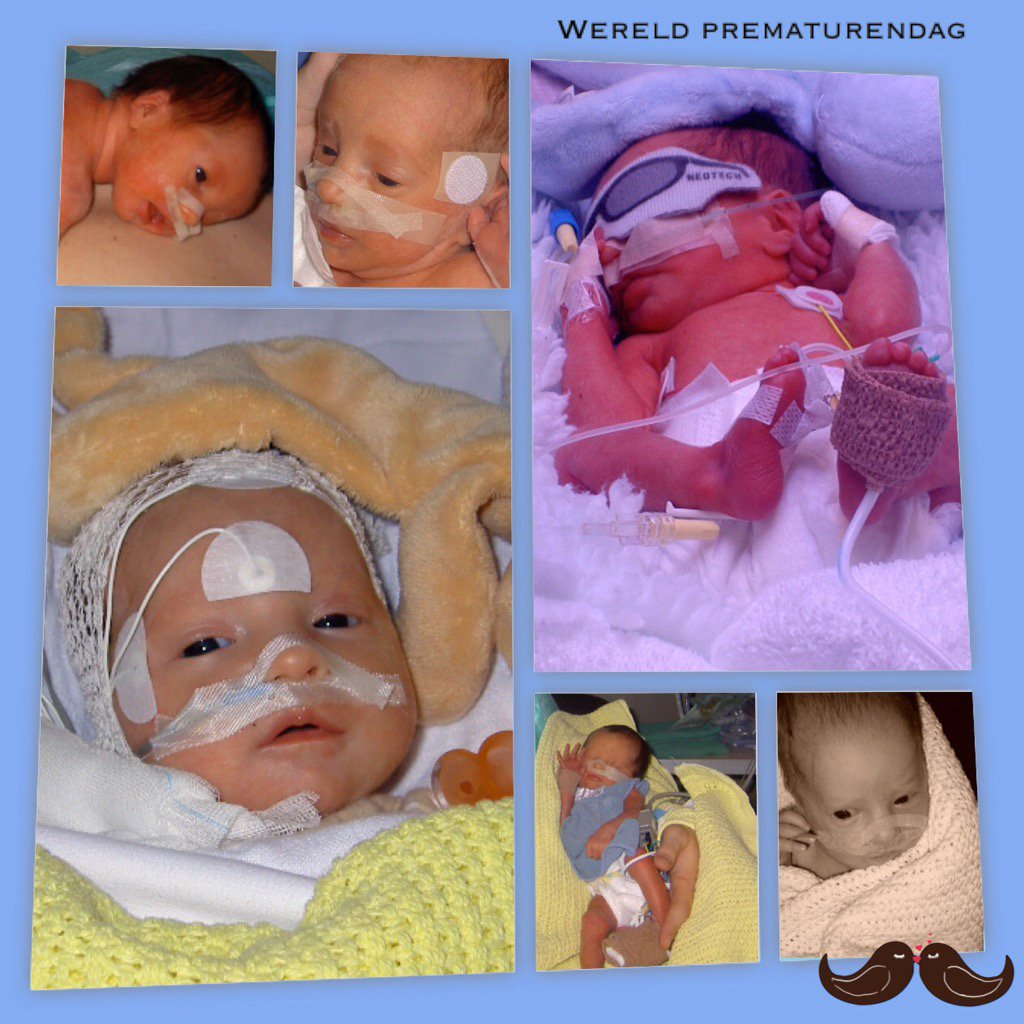 nelethijsen's tweet photo. #wpd15 https://t.co/jUnBQs3iJI