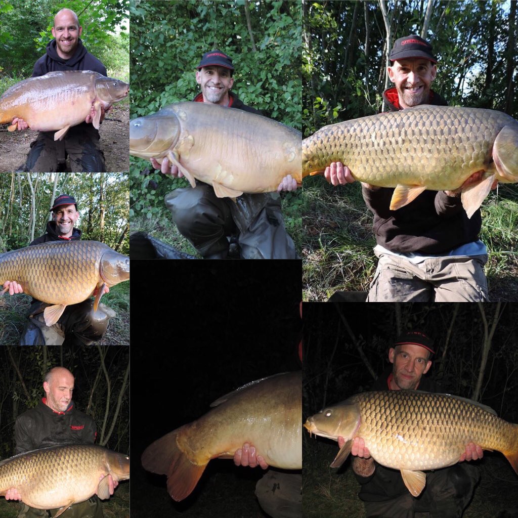 qualitybaits's tweet image. The smile says it all #quality