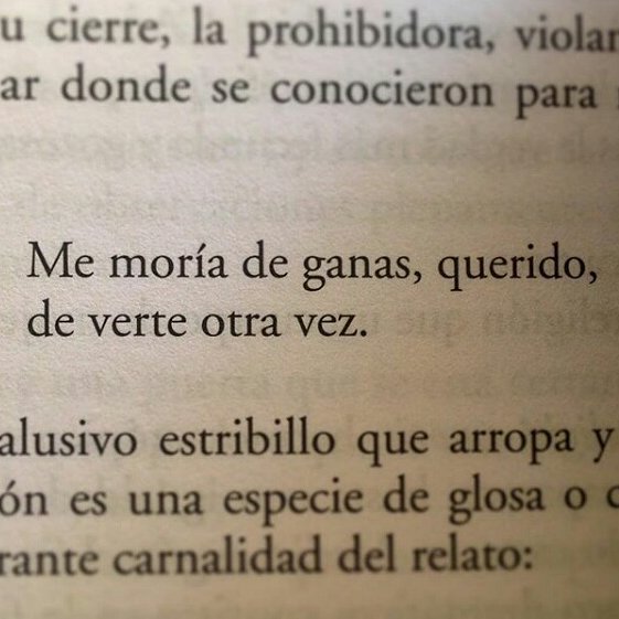 SonCitas's tweet photo. Me moría de ganas.. #Book #Writter #Love #Woman #Quotes #Words #Inspiration https://t.co/DAScRDbUek