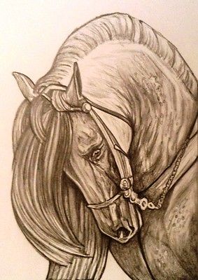 zeppy.io pets tweet media