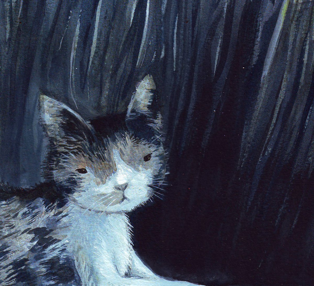 Quedan 29 días/ Compra en verde y publiquemos #JuanitaCarey, una aventura gatuna al interior ow.ly/UIGHT