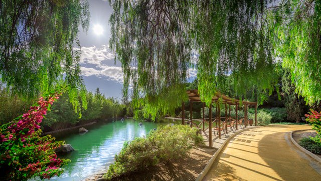🌸Parque de la Represa Park
