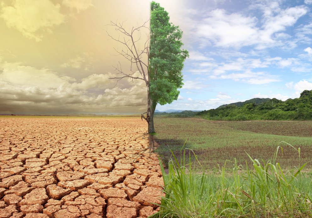 Cambiamenti climatici causano migrazione delle persone