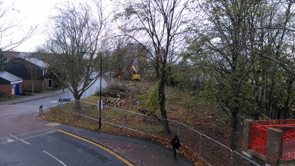 peakay81's tweet image. Really sad to see hundreds of trees being cut down for railway expansion at #Tottenham Hale, Ferry Lane