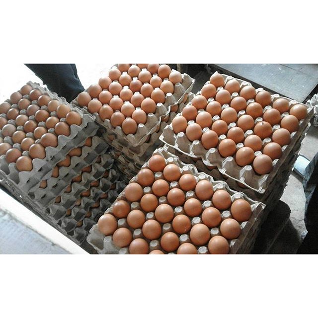 Blitar, East Java
petualang acsesor di Blitar. (3)
Ini Business Visitnya 

Visit us (ig:<a href="/acses/">Acses</a>.ksei)