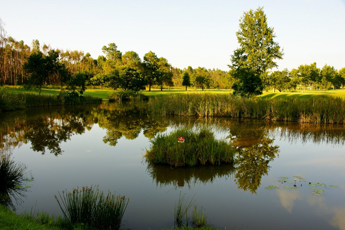 GOLFTV1's tweet photo. White River Country Club #SouthAfrica @WhiteRiverCC https://t.co/eAViNFNIXP