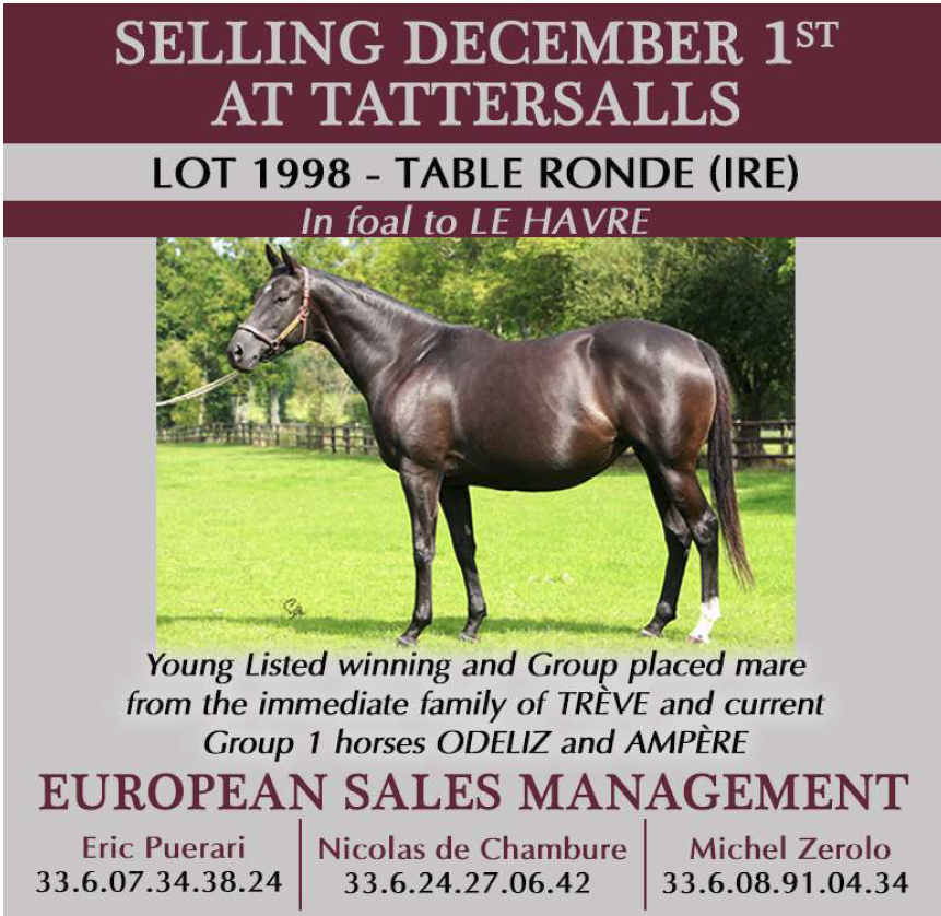 Sue Morris Finley (@suefinley) on Twitter photo Huge draft for European Sales Management <a href="/Tattersalls1766/">Tattersalls</a> including Table Ronde, i/f to Le Havre, from fam of Treve Huge draft for European Sales Management <a href="/Tattersalls1766/">Tattersalls</a> including Table Ronde, i/f to Le Havre, from fam of Treve