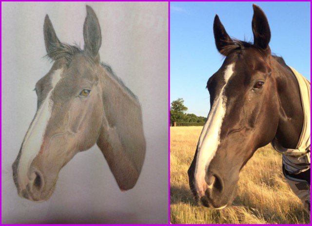 cloud9_art's tweet photo. New Artwork ♥ #art #artwork #HorseHour #horse #drawing #pencildrawing #portraitnovember #artworkoftheweek #portrait https://t.co/bL1CQEN0kr