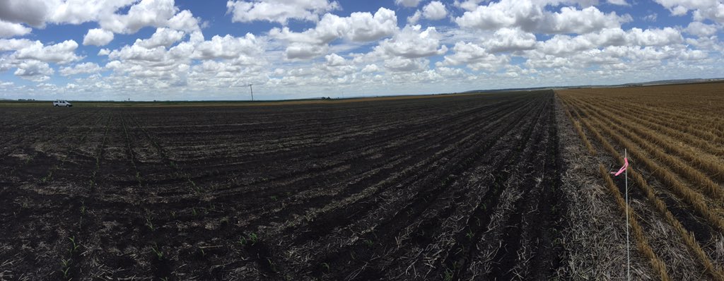 bedeomara74's tweet photo. Grower DeeP trial planted at #mtirving for #CDGG Central Downs Grower Group #GRDC #deepp @theGRDC @agronomy_sharon https://t.co/X0p2pBJEC3