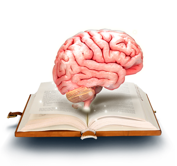 AugmenterApp's tweet photo. Bring your textbooks alive only with the @AugmenterApp ! Download app at https://t.co/dCp2ZU5Gek #augmentedReality https://t.co/Exxy7JhJgh