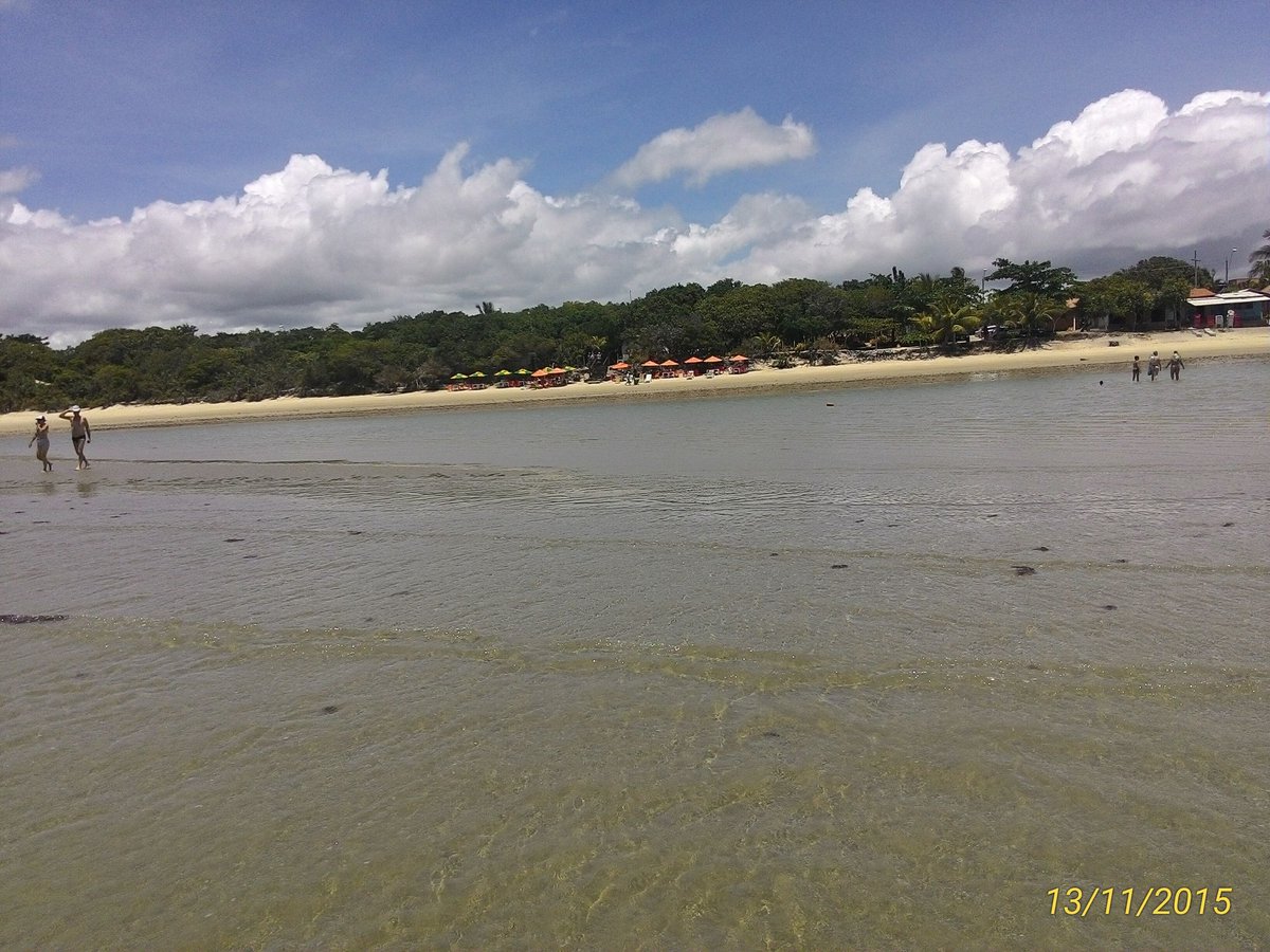 JAQ302230's tweet photo. Praia de Coroa Vermelha- Cabrália
#linda https://t.co/siwWc9ppNg