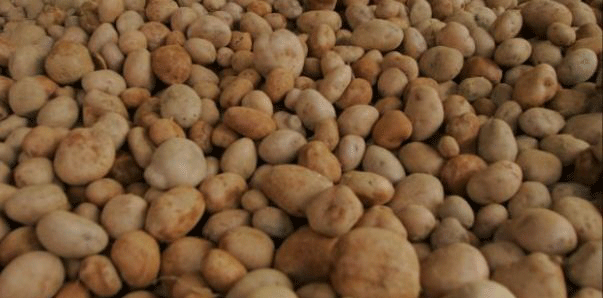 La papa: rica en fibra, carbohidratos, vitaminas y minerales.
elbauldelconsumidor.blogspot.com/2015/11/papa-y…