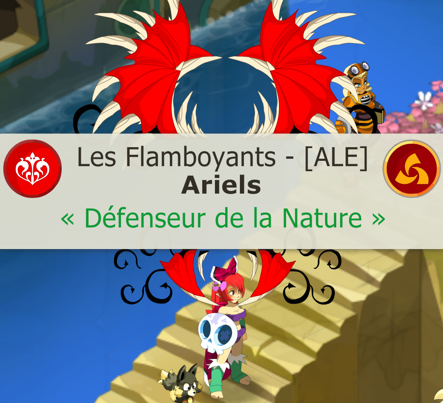 SadiAriels's tweet photo. Bonsoir de #Sufokia ; #Ariels #Dofus #Amayiro https://t.co/xWRiUpWeNh